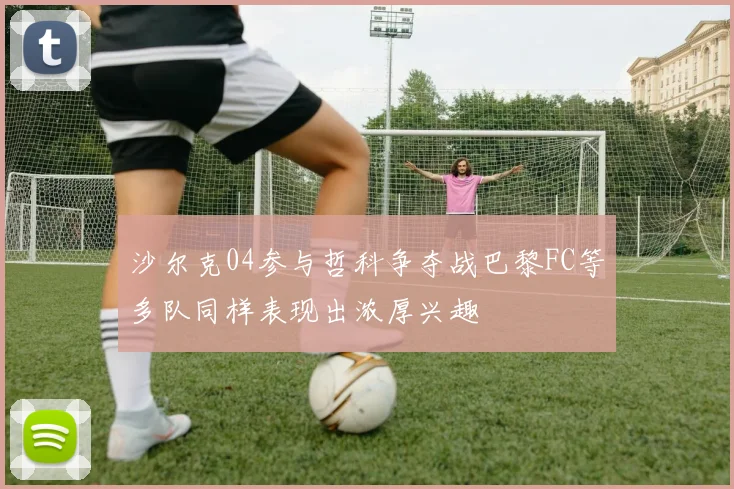 沙尔克04参与哲科争夺战巴黎FC等多队同样表现出浓厚兴趣